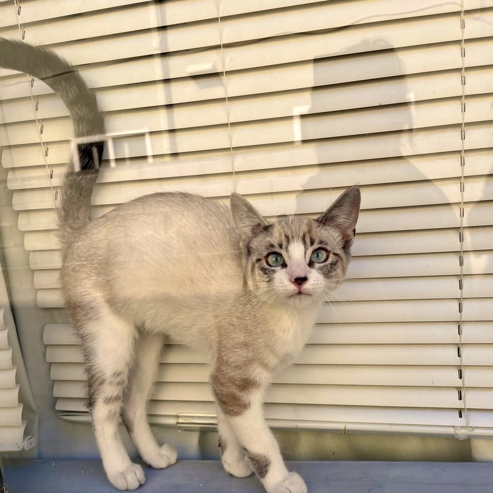 Meet your Posher, Natalia